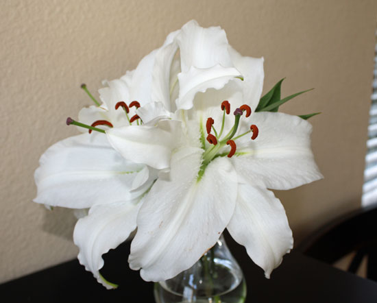 Image Image