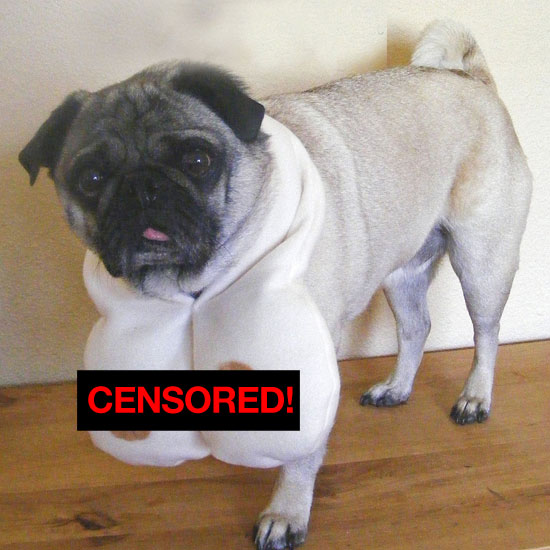 Boob Scarf For Dogs? Boob Scarf For Dogs?
