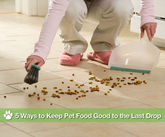 How to Prevent Pet Food From Becoming Stale How to Prevent Pet Food From Becoming Stale