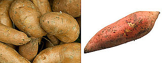 Yams vs. Sweet Potatoes Yams vs. Sweet Potatoes