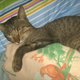 Laurice2294906 Laurice2294906