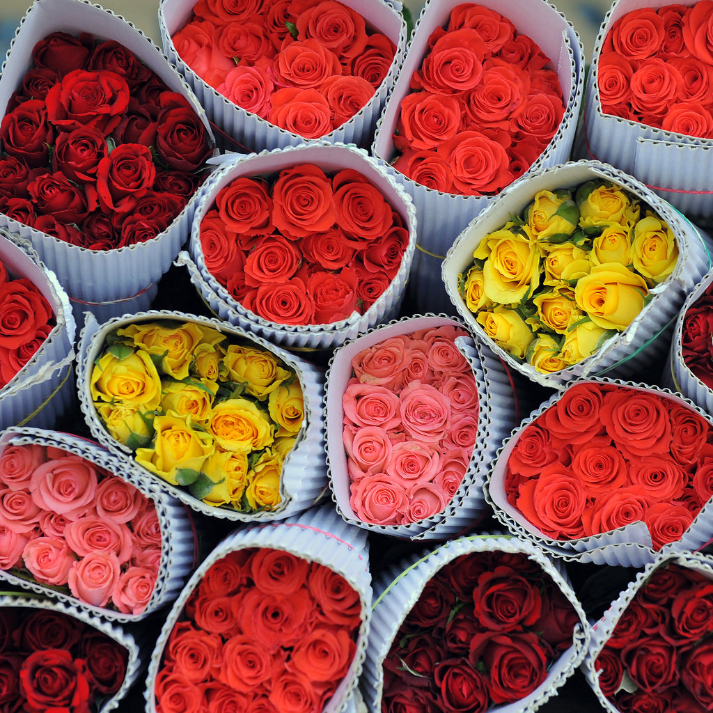 meaning-of-roses-what-the-number-of-roses-means-popsugar-love-sex