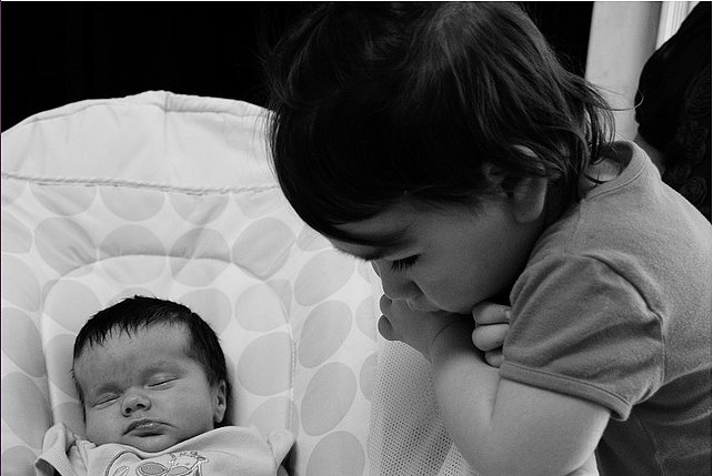 Training When There's an Older Sibling at Home Training When There's an Older Sibling at Home