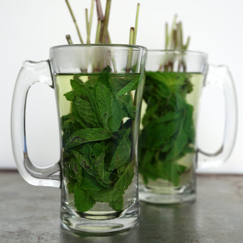 Fresh Mint Tea Fresh Mint Tea