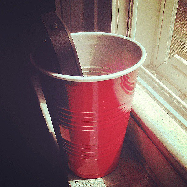 Bump Music Out of a Cup Bump Music Out of a Cup