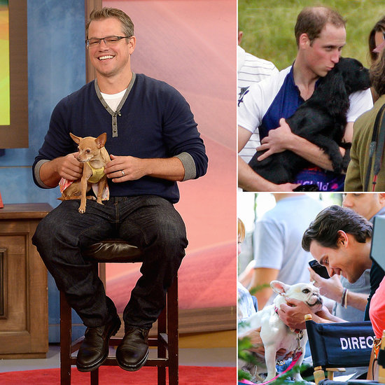 Hot Dog! Sexy Stars Get Adorable With Pups Hot Dog! Sexy Stars Get Adorable With Pups