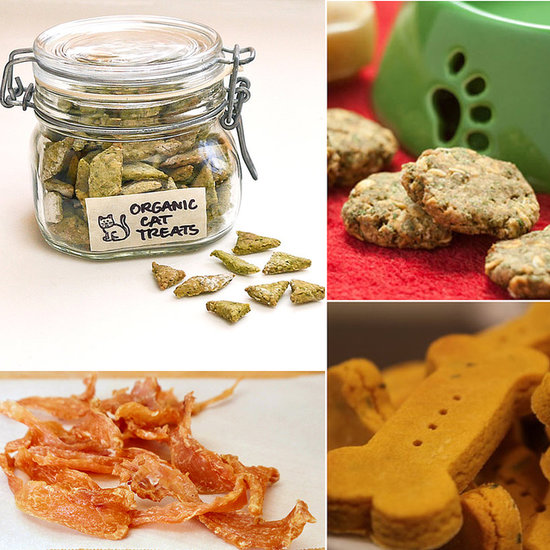 8 Pet-Friendly Recipes For Your Favorite Furry Friend 8 Pet-Friendly Recipes For Your Favorite Furry Friend