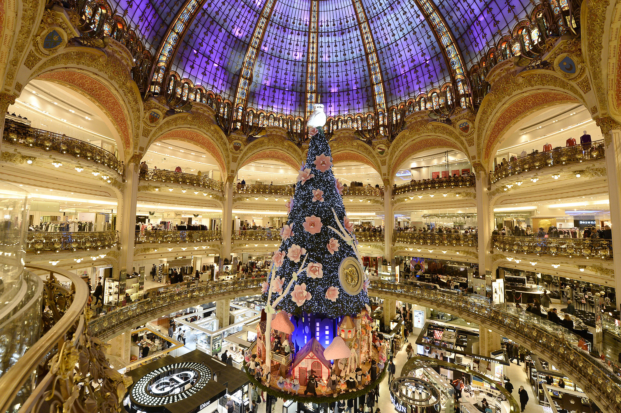 Paris' Galeries Lafayette installed its magnificent Christmas tree