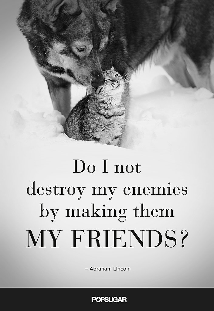 Befriend Your Enemies Befriend Your Enemies