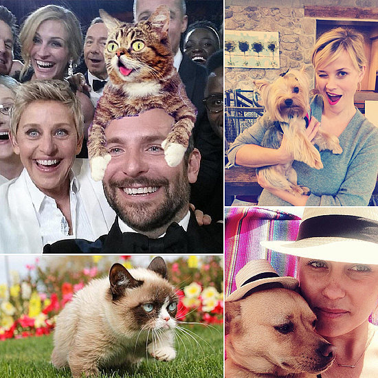 March's Famous Selfies, Cozy Celebrity Snaps, and Fluffy Friends March's Famous Selfies, Cozy Celebrity Snaps, and Fluffy Friends