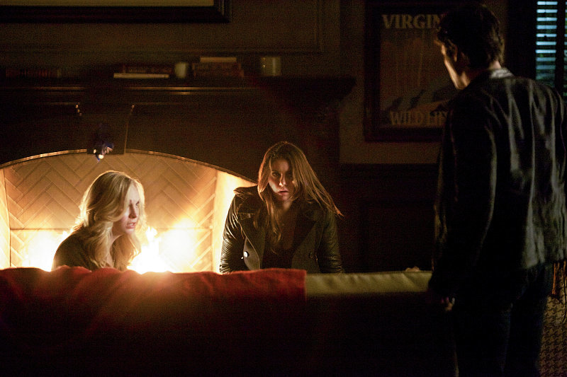 The Vampire Diaries The Vampire Diaries