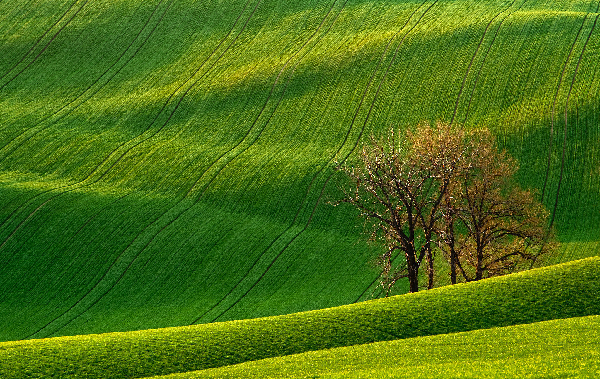 Rolling Hills, Czech Republic | 83 Unreal Places You Thought Only 