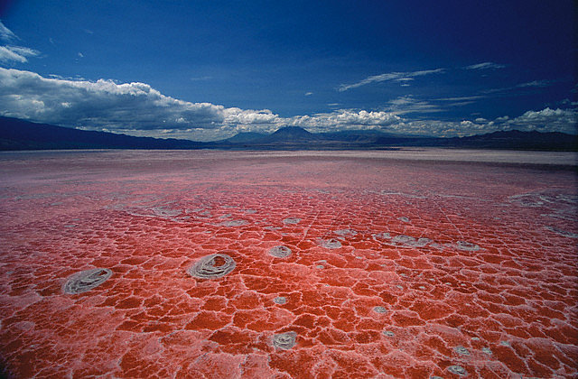 the lake natron in tanzania