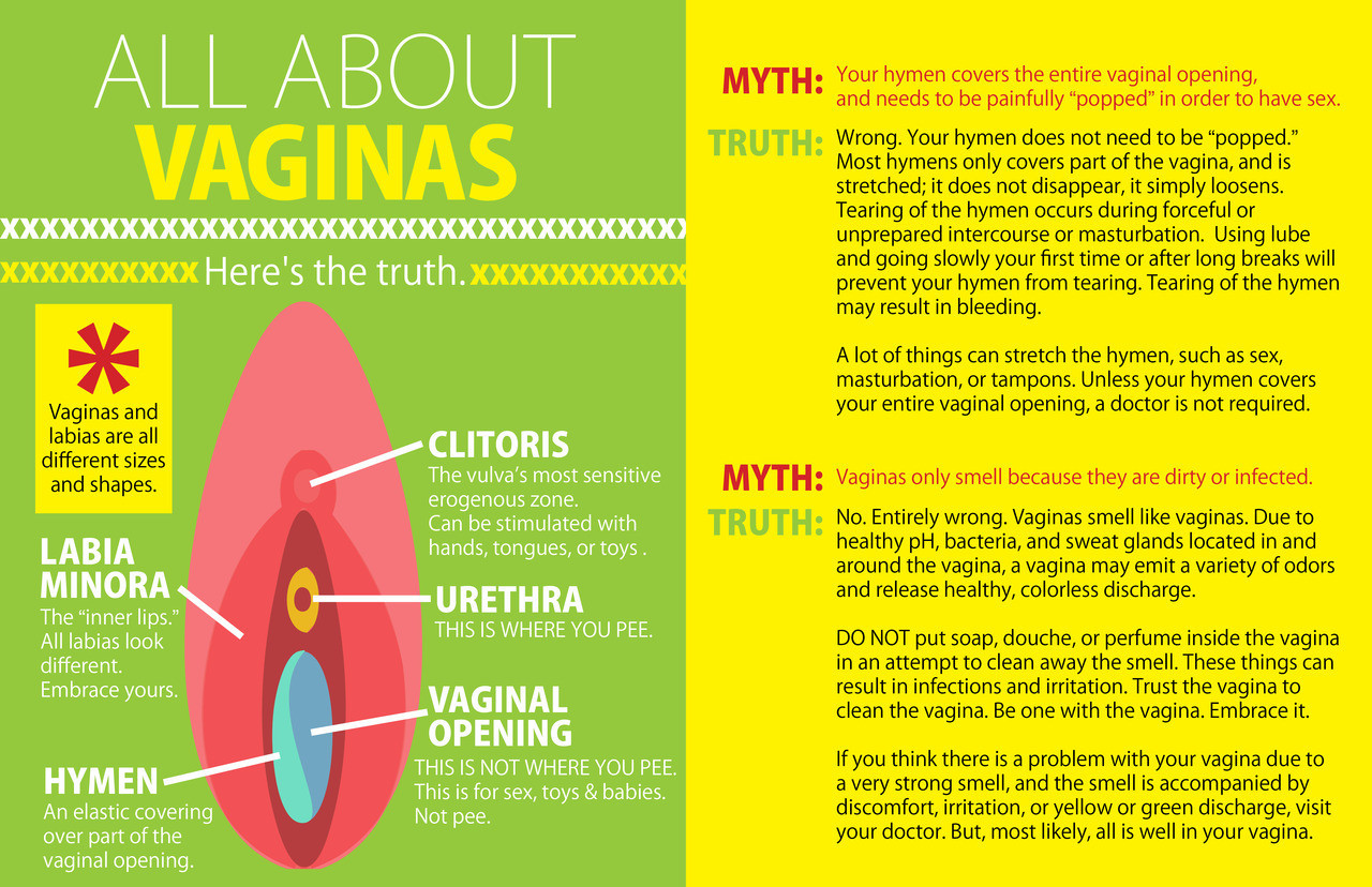 Vaginas All You Need To Know About Sex In One Helpful Infographic Popsugar Love And Sex