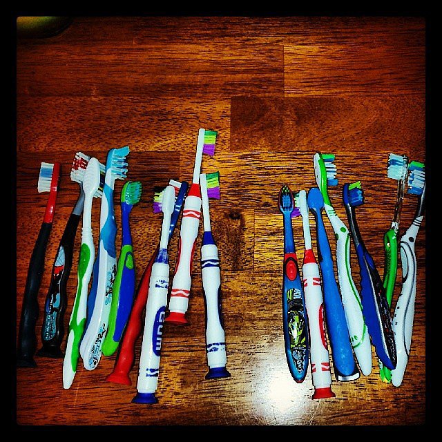Toothbrush Collection Toothbrush Collection