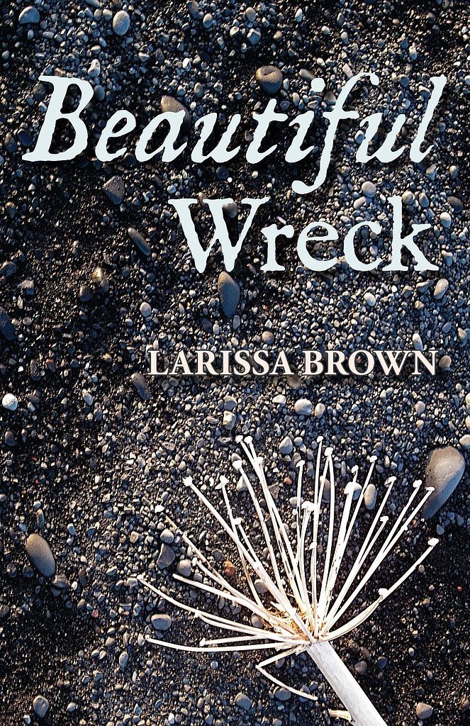 Beautiful Wreck Beautiful Wreck