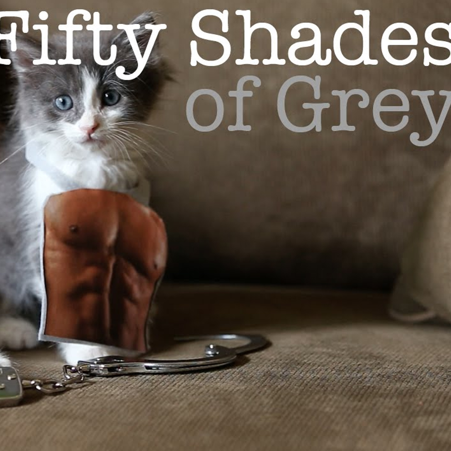 The Best Fifty Shades Parodies — From Frozen to Kittens!