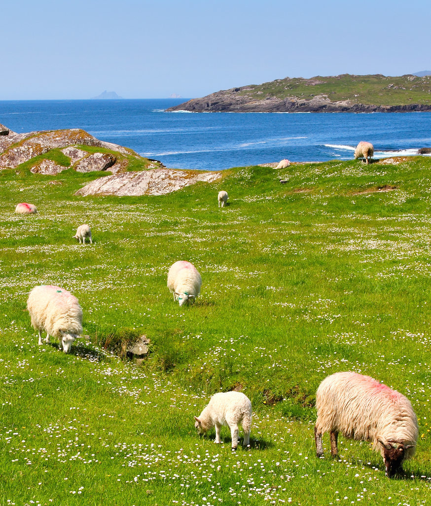Ring of Kerry Ring of Kerry