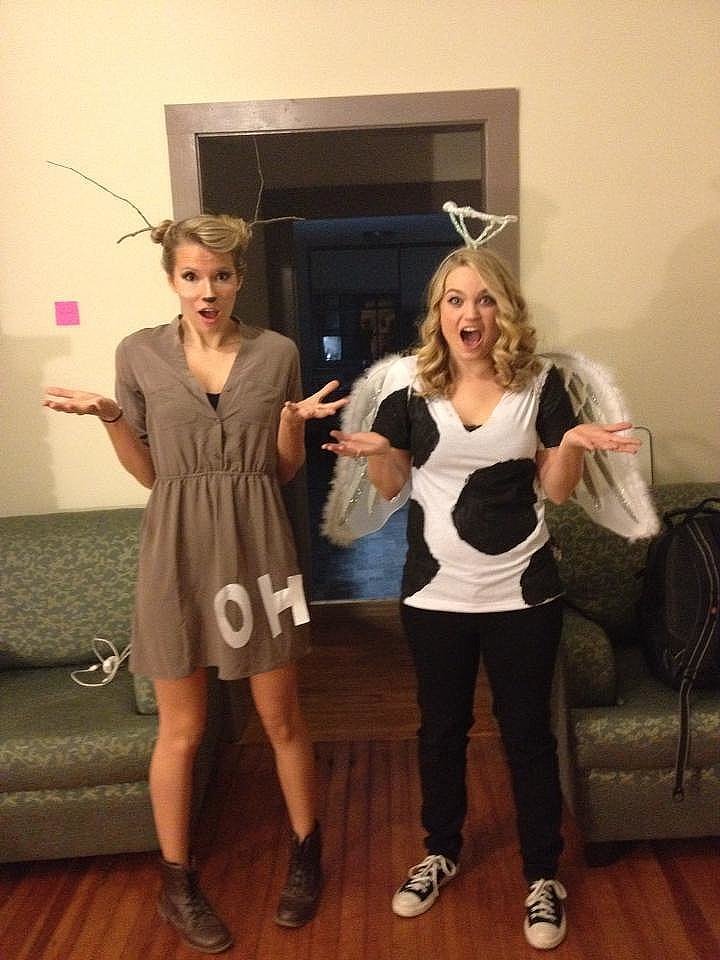 Oh Deer and/or Holy Cow