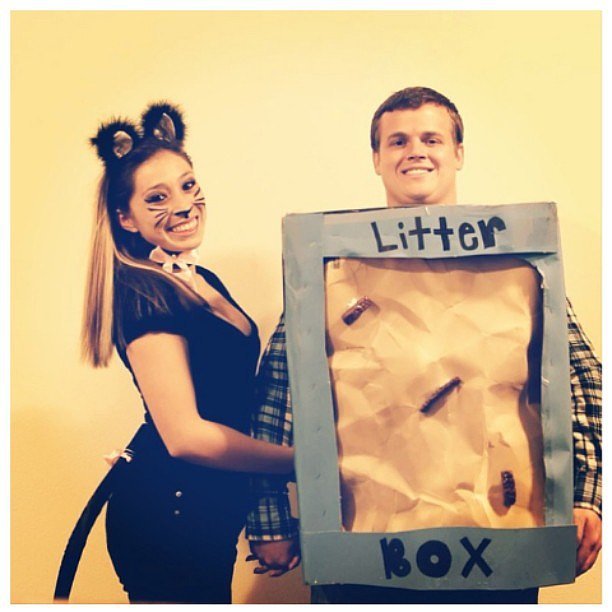 Cat and Litter Box