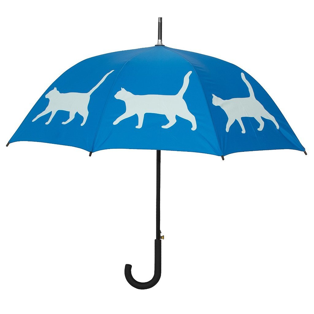 Umbrella Umbrella