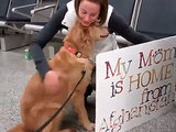 Pup Surprises Soldier Mom at Airport and They Can't Stop Crying Tears of Joy Pup Surprises Soldier Mom at Airport and They Can't Stop Crying Tears of Joy