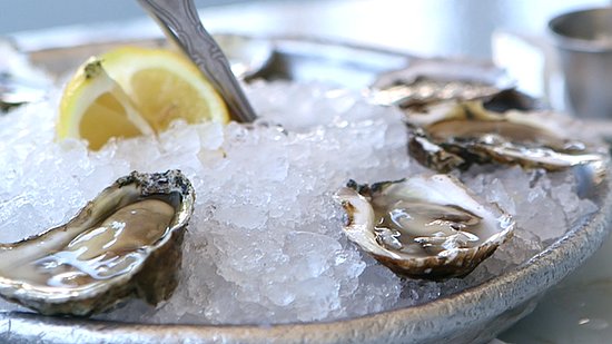 Oysters Oysters