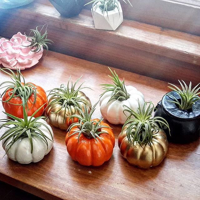 Halloween Pumpkin Decorating POPSUGAR Home