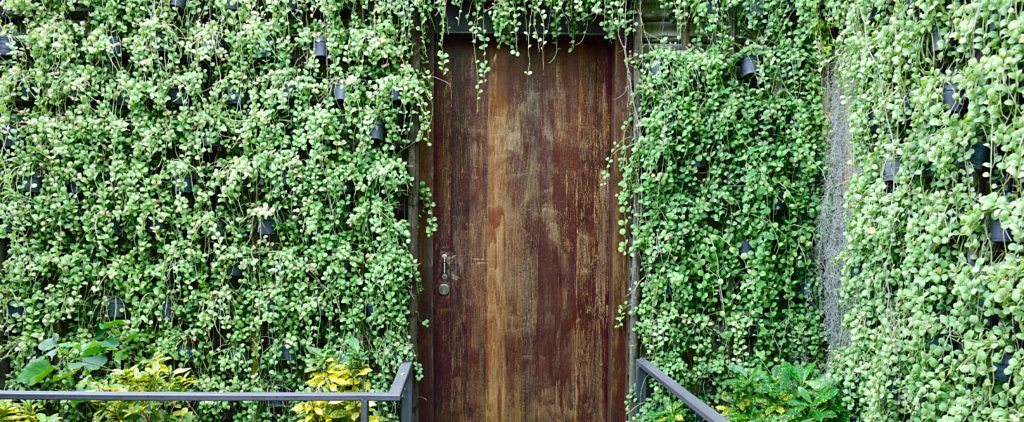 Home & Garden | POPSUGAR Home