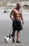 Puppy Love! Dwayne Johnson Takes