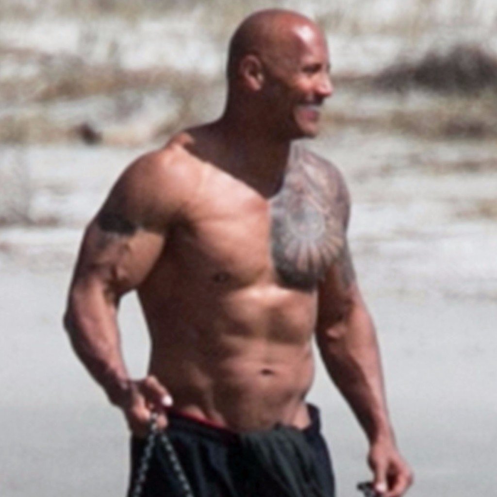 Dwayne Johnson Shirtless With Lauren Hashian Pictures 2016 Popsugar 0277