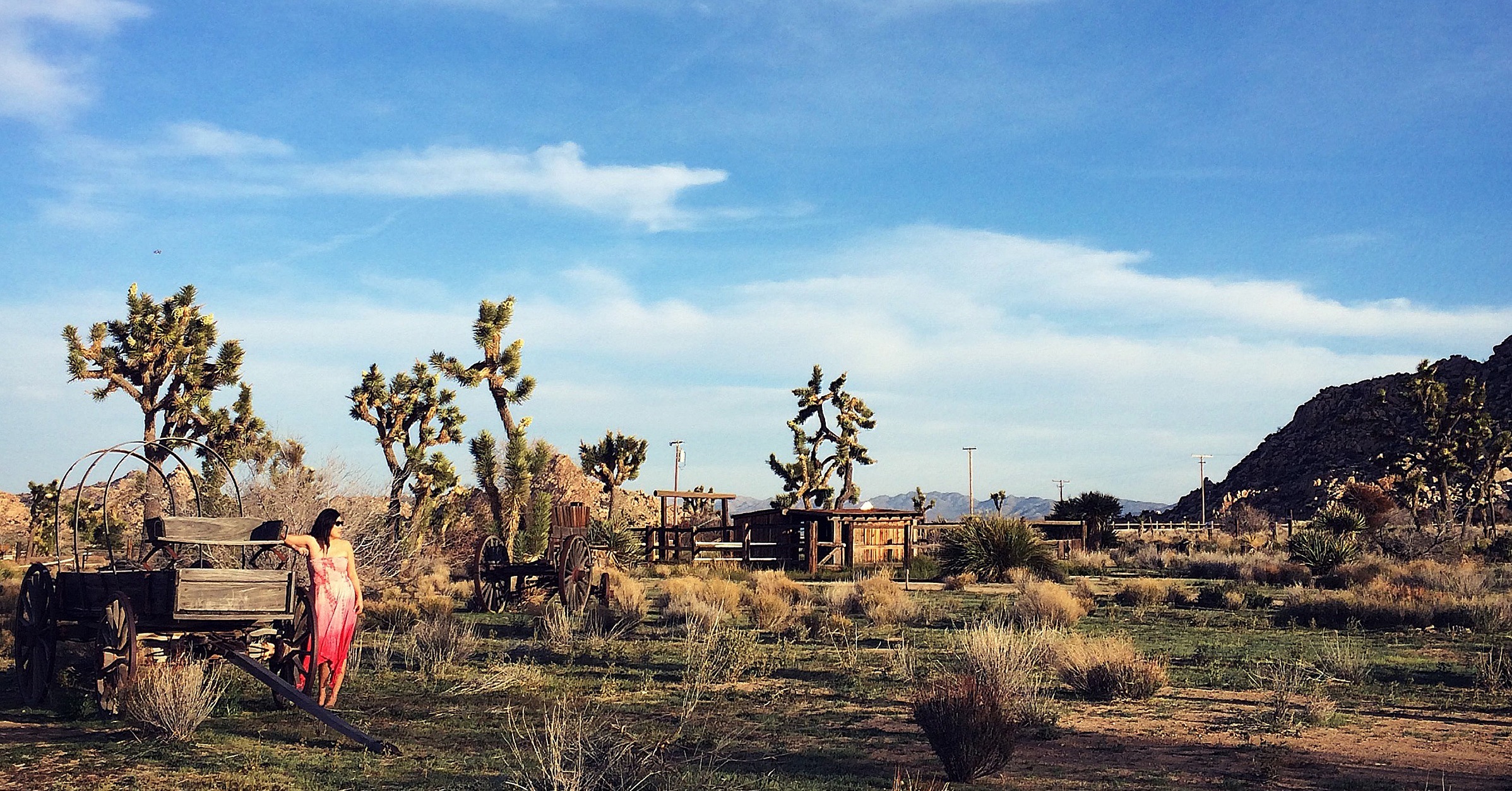 Coachella Valley Photos POPSUGAR Smart Living