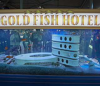 Check Out the World's First Hotel For Pet Fish! Check Out the World's First Hotel For Pet Fish!