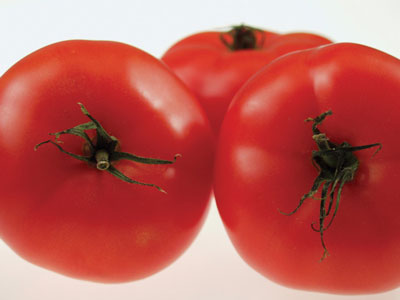 Adding Fat to Tomatoes Helps the Body Metabolize the Nutrients Adding Fat to Tomatoes Helps the Body Metabolize the Nutrients