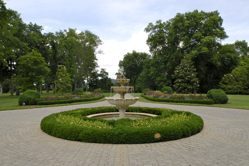 Image Image