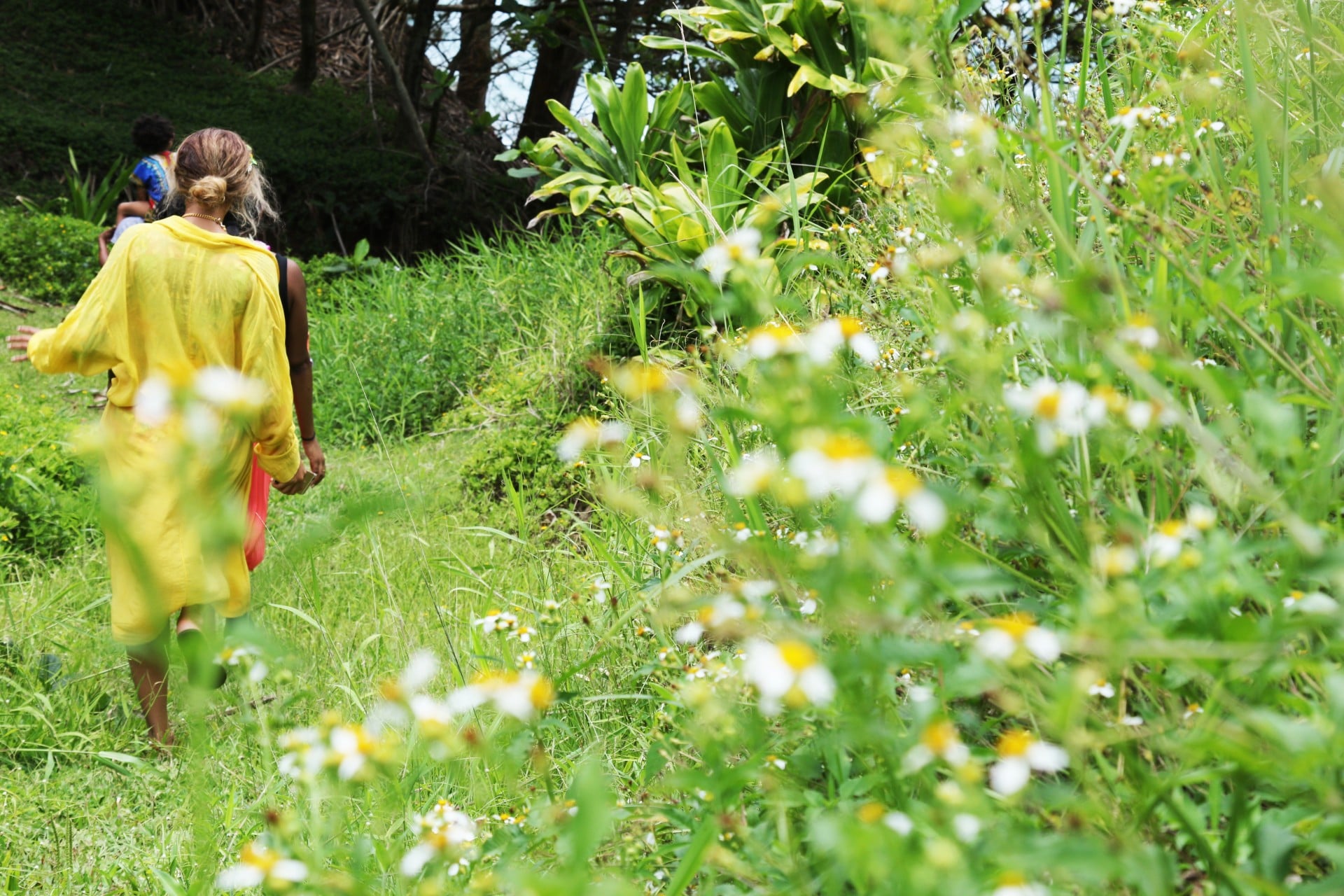 Beyoncé and Jay Z Can't Keep Their Hands Off Each Other During a Romantic Trip to Hawaii