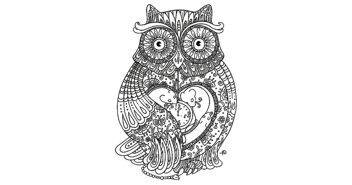 Get the coloring page: Owl | 50 Printable Adult Coloring Pages That