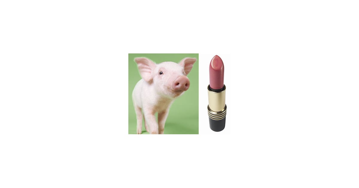 Definition of Putting Lipstick on a Pig POPSUGAR Beauty
