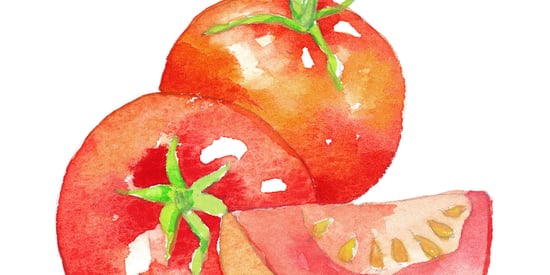 How To Make A Cake: A Beginner's Guide