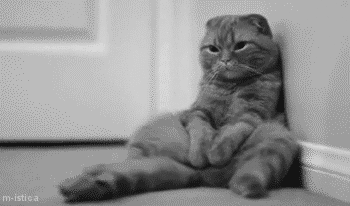 When-You-Still-Havent-Heard-Back-Two-Weeks-Later.gif