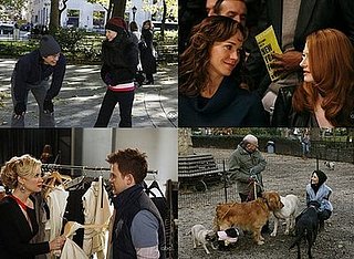 Cashmere Mafia Fashion Quiz: "Dog Eat Dog" Cashmere Mafia Fashion Quiz: "Dog Eat Dog"