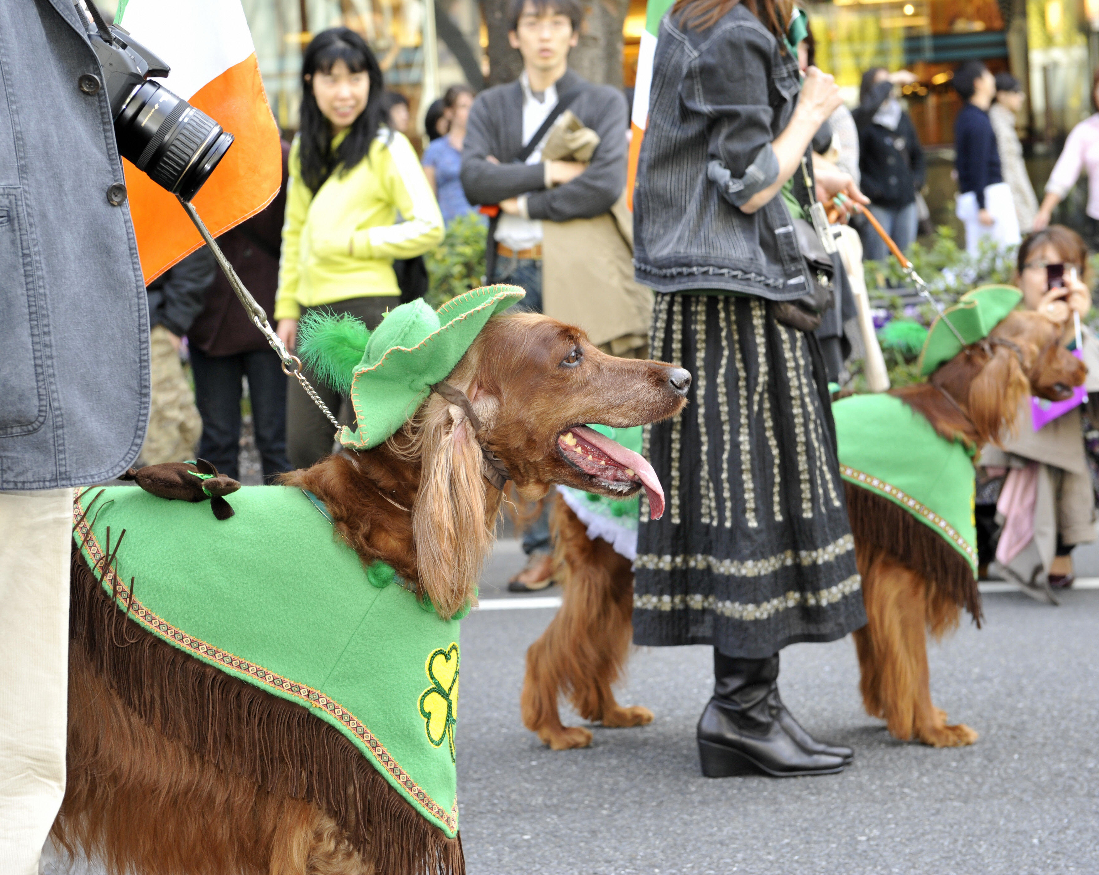 Image Image