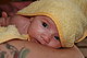 bluecat1972 bluecat1972