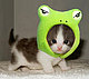 Fab_Kitty Fab_Kitty