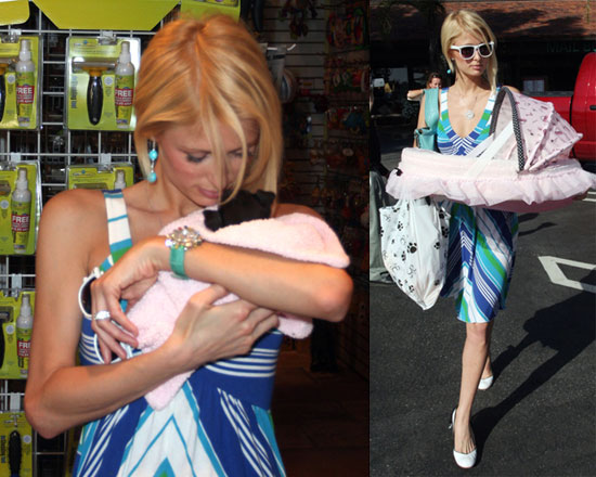 Paris Has No Real Kids, But She Babies Her Furry Ones Paris Has No Real Kids, But She Babies Her Furry Ones
