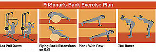 Free Exercise Plan for Strengthing and Toning the Back Free Exercise Plan for Strengthing and Toning the Back
