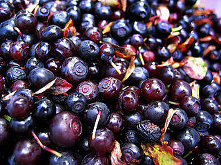All the News That's Fit to Eat — August 27, 2008 All the News That's Fit to Eat — August 27, 2008