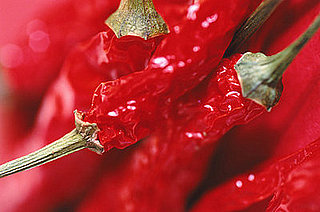 Do You Like Hot and Spicy Foods? Do You Like Hot and Spicy Foods?