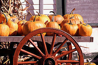 Come Party With Me: Pumpkin Patch Picnic — The Look Come Party With Me: Pumpkin Patch Picnic — The Look
