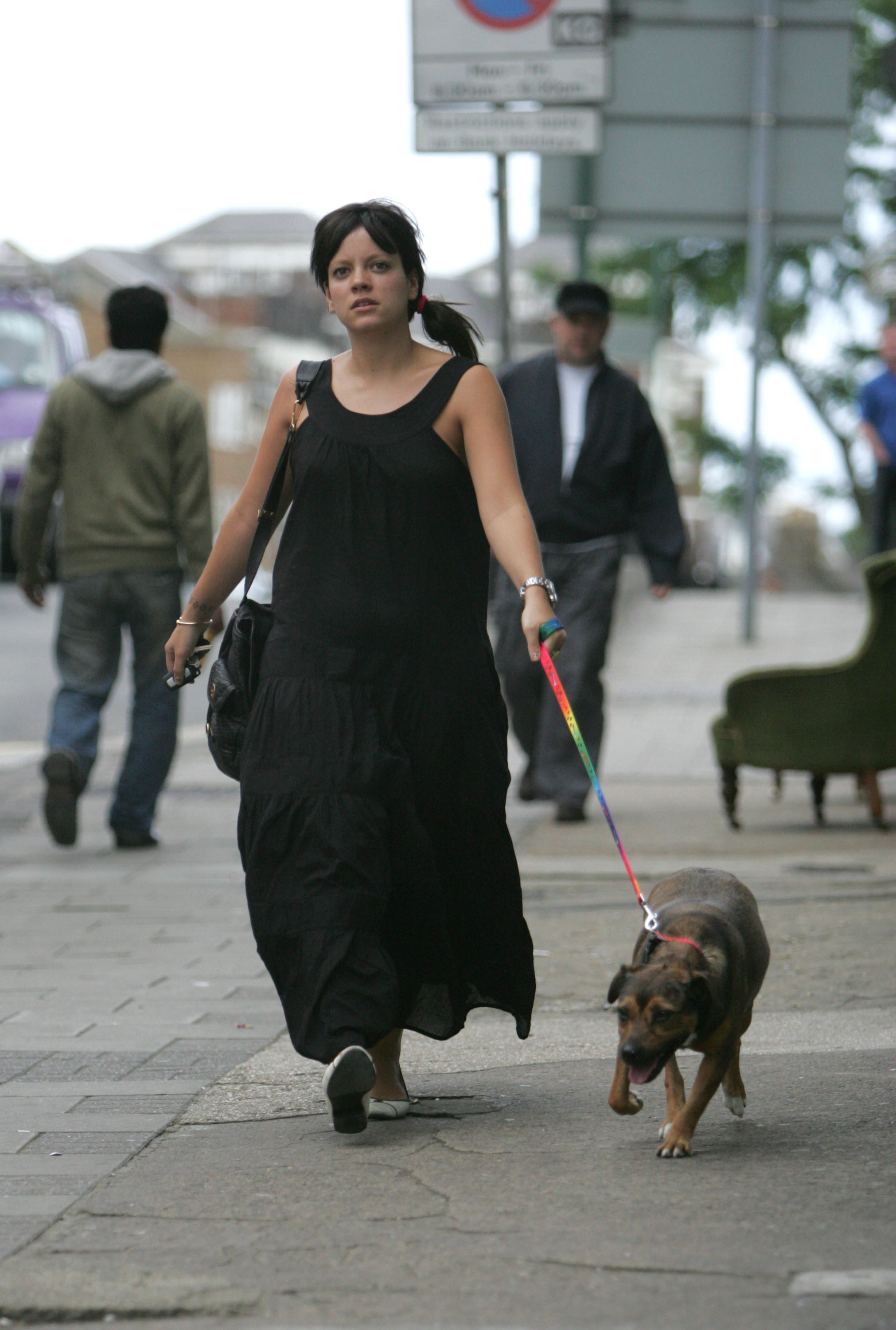 New Doggy Alert! Lily Allen's Rescued Pup POPSUGAR Pets